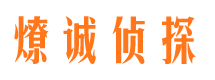 于都市调查公司